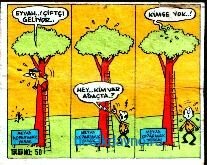 ������� ������ TipiTip 50 