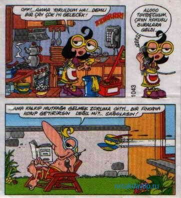 ������� ������ TipiTip 1043 