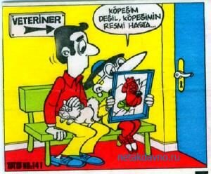 ������� ������ TipiTip 141 