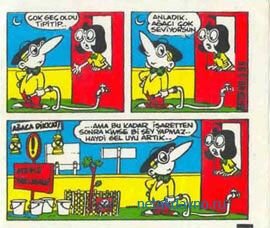 ������� ������ TipiTip 596 